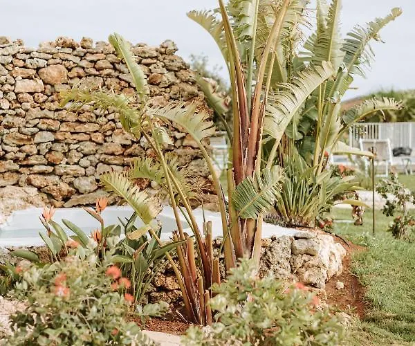 Agriresort Murciano *