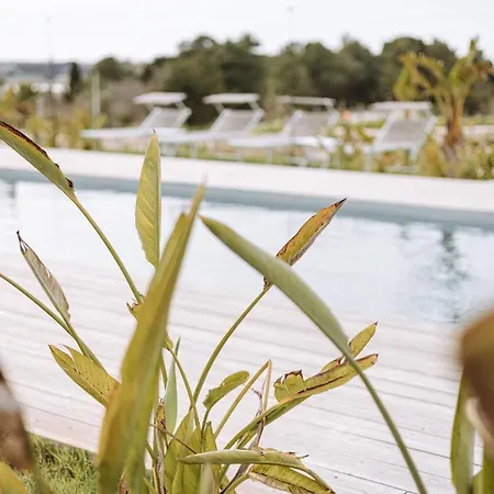 Farm stay Agriresort Murciano